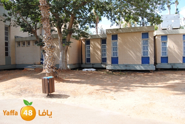 jotha dead yaffa 701 (2).JPG